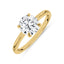 El Anillo Aria
