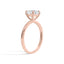 El Anillo Aria