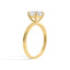 El Anillo Aria