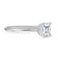 The Allegra Ring
