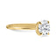 The Aria Ring - Or