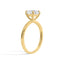 Aria Ring - Guld