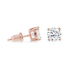 The Artemis Earrings - Rosegold