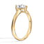 The Aurora Ring - Gold